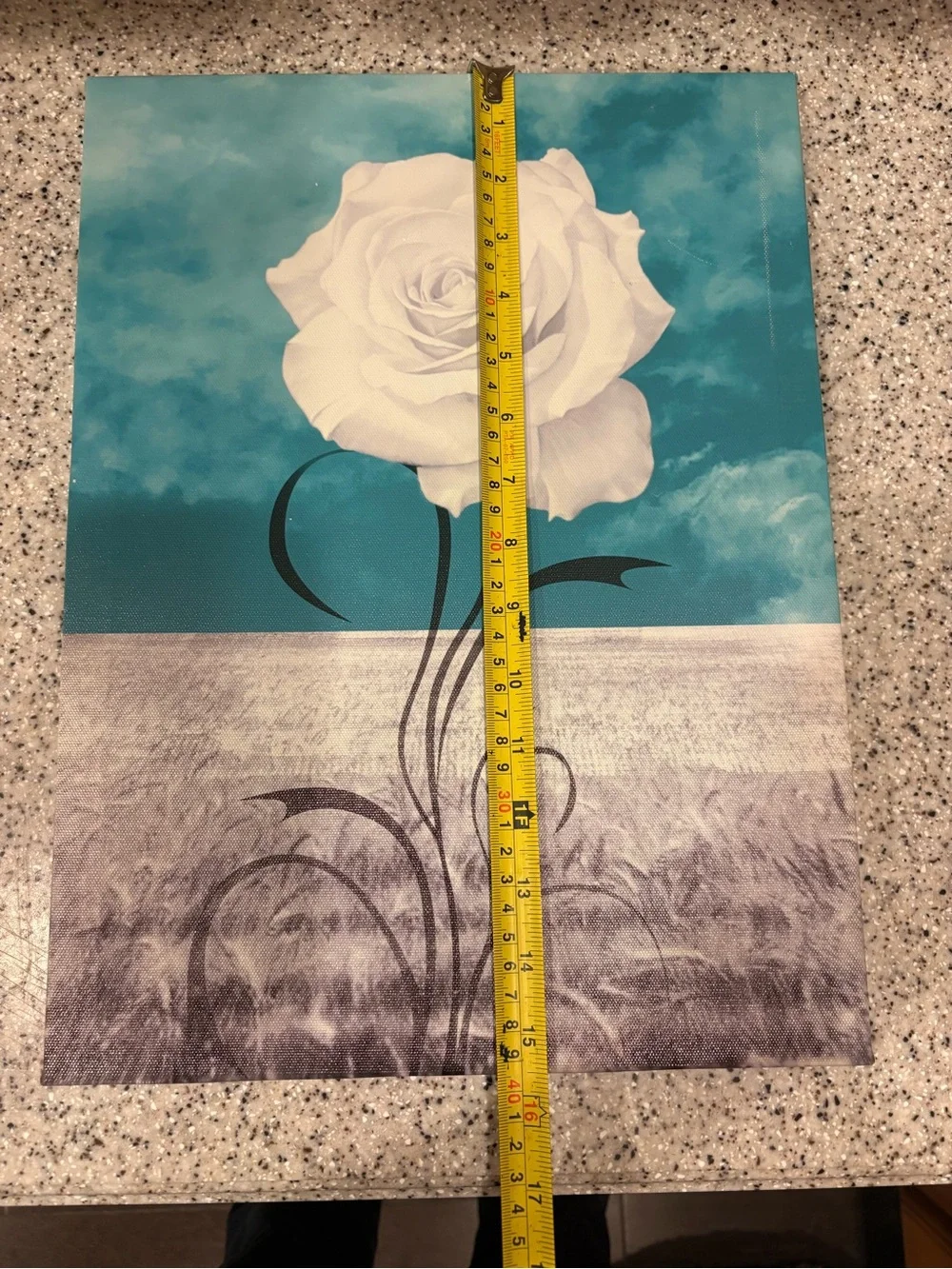 Teal and white rose canvas wall art features a detailed white blossom